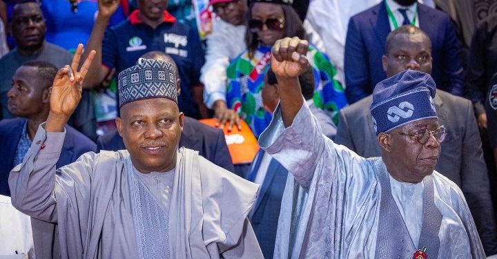 Tinubu appoints 18 aides in Vice President’s office