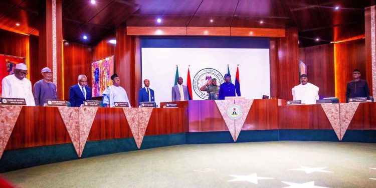 FEC approves humanitarian, poverty alleviation trust fund, targets $5bn annual remittance