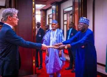 Tinubu makes case for investment opportunities as foreign envoys present letters of credence