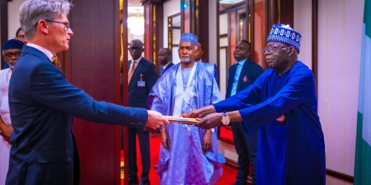 Tinubu makes case for investment opportunities as foreign envoys present letters of credence