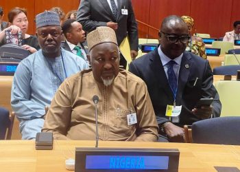 Nigeria demands UN Security Council seat at the 79th UNGA