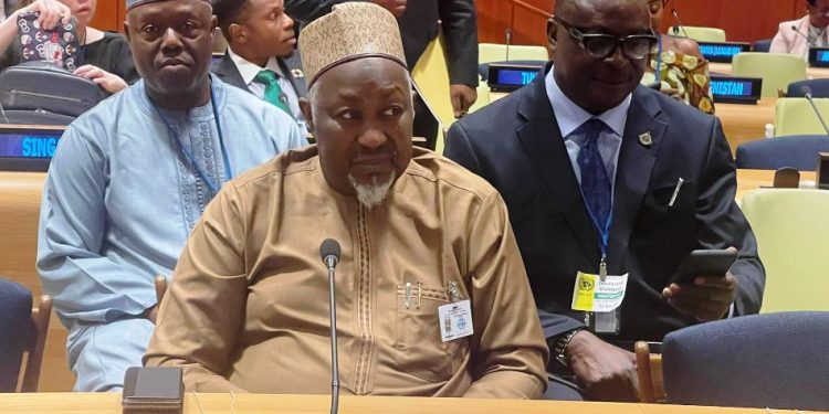 Nigeria demands UN Security Council seat at the 79th UNGA