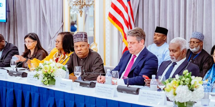 79th UNGA: US Chamber of Commerce commits $320m to mortgage financing, SMEs, others in Nigeria
