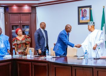 Diversify your portfolio, support youth entrepreneurship, Shettima charges NSIA board