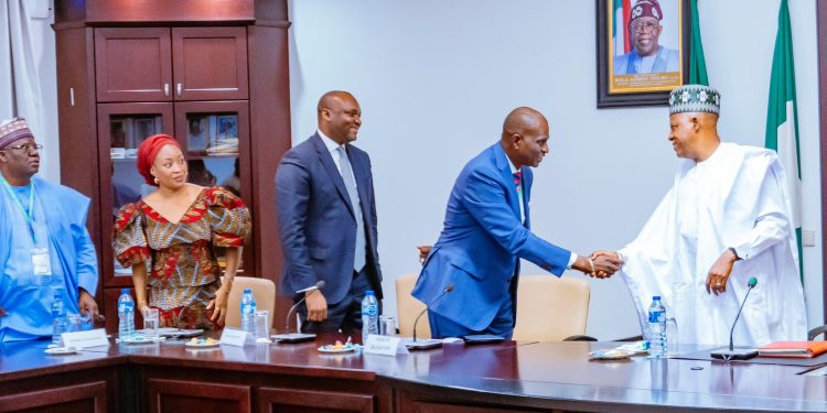 Diversify your portfolio, support youth entrepreneurship, Shettima charges NSIA board