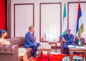 Let’s translate our friendships into economic gains for citizens, Tinubu tells French, Chinese, Danish ambassadors