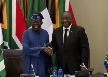 Gain of BNC: South Africa relaxes visa rules for Nigerian tourists, business people