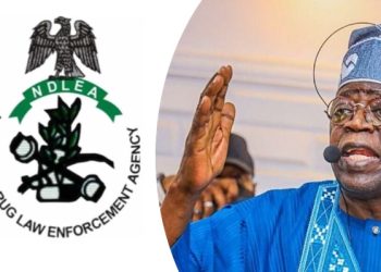 Fight against illicit drugs must be a national movement, Tinubu says at 2025 World Drug Day 