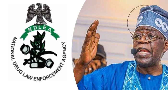 Fight against illicit drugs must be a national movement, Tinubu says at 2025 World Drug Day
