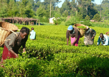 Nigeria, Germany, EU unveil €18.3m project to boost agriculture