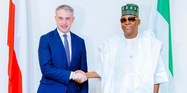 Nigeria, Poland explore strategic partnership on digital economy, defence, others
