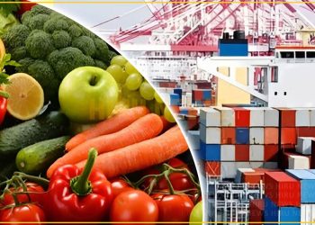 Agriculture, exports drive economic recovery as Tinubu unveils new growth initiatives