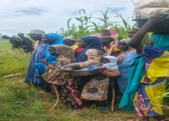 Security operation frees 18 captives, foils fresh Katsina abduction attempt