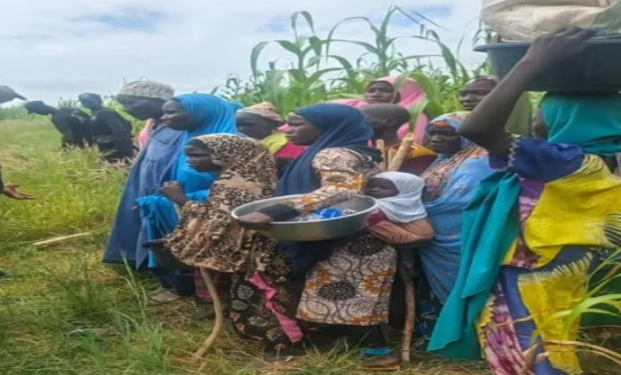 Security operation frees 18 captives, foils fresh Katsina abduction attempt